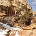 Capital Reef National Park - Utah 